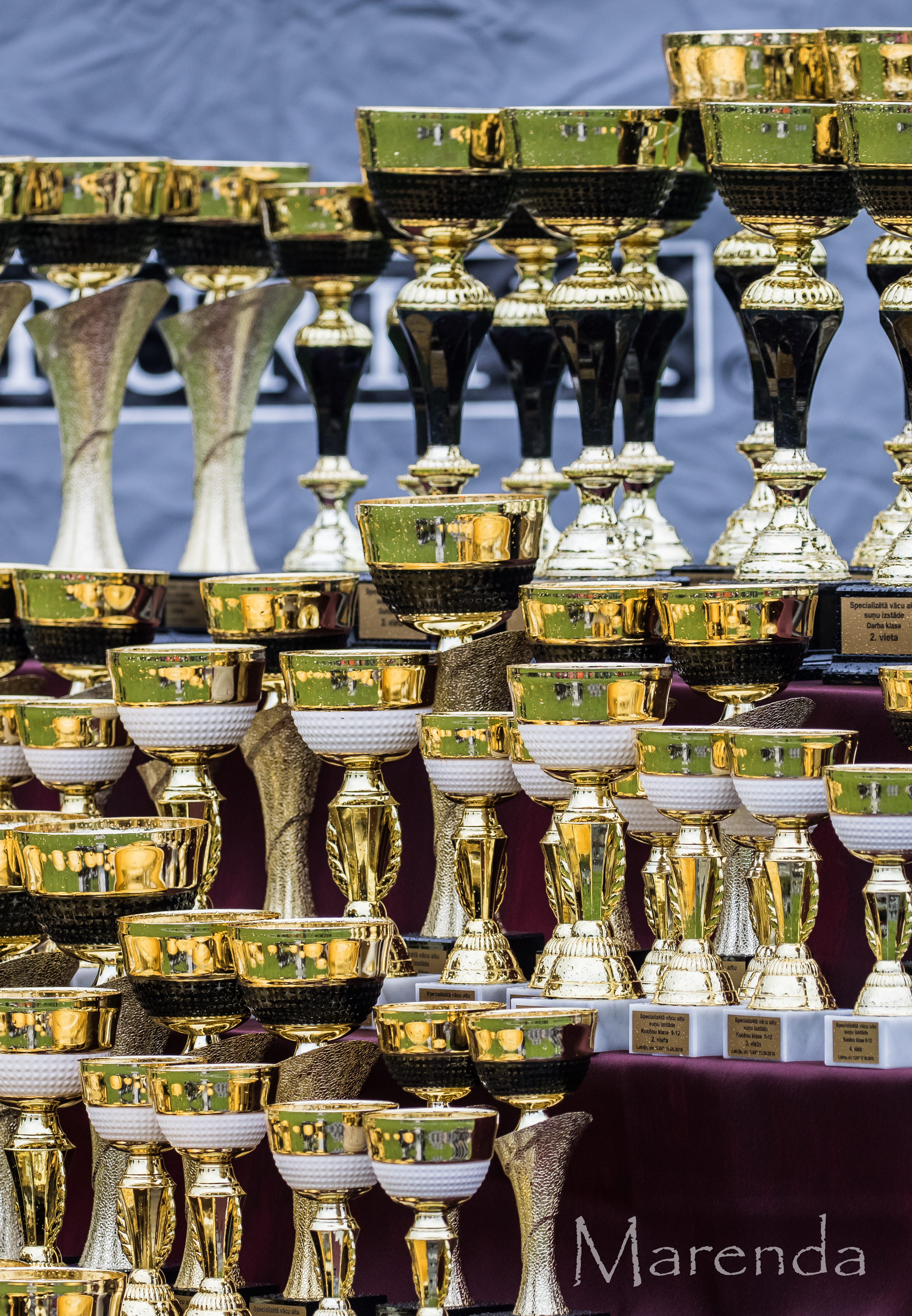 LVASK gada galvenā specializētā izstāde!!!Latvian German Shepherd Dog specialty show!!!24.-25.09.2016. LOTHAR QUOLL (Germany SV ) image-3774